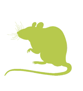Rodent Control