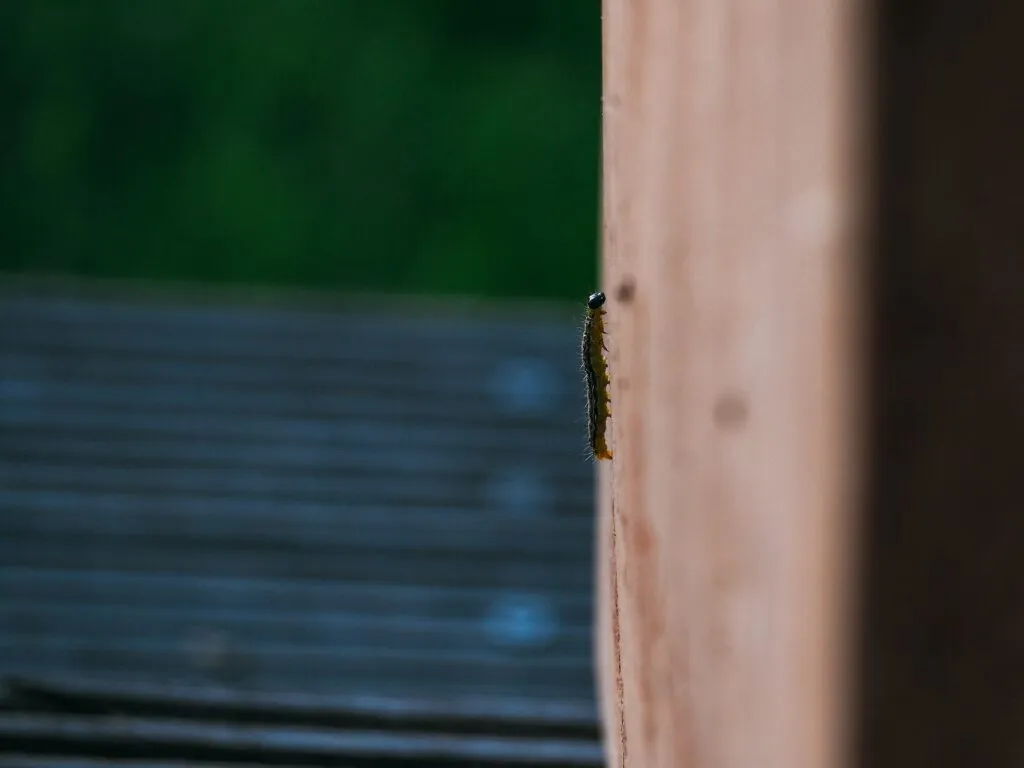 brecht-denil-D65QI4GtmYI-unsplash