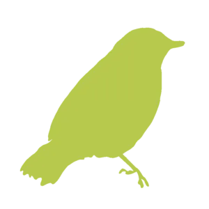 Bird Control