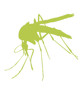 Biting Insects Pest Control