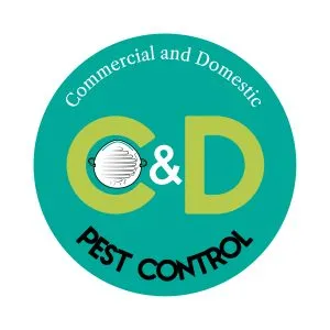 CD circular logo blue